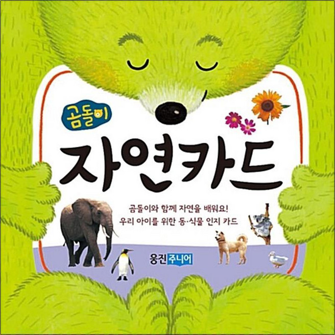 곰돌이 자연카드, 웅진주니어(웅진)