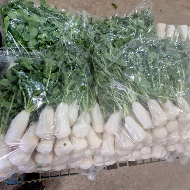 [초록농장] 아삭달큰한 국내산 총각무 초롱무 알타리무, 1개, 손질 깐 총각무 2단 5kg 이상