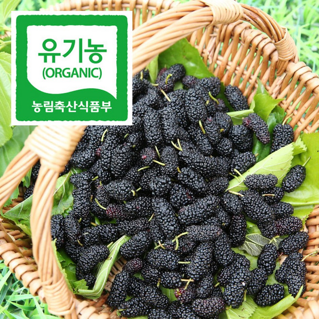 땅끝해남 산지직송 유기농 햇오디 냉동 오디 생과 600g, 1개