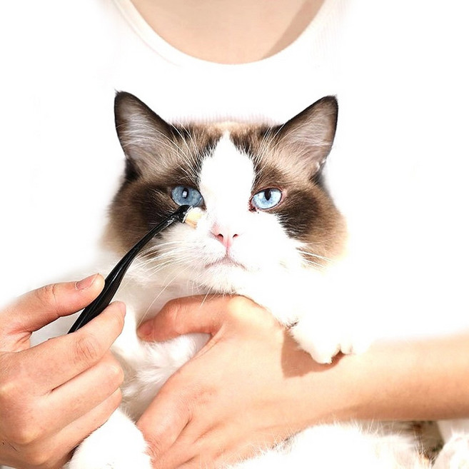 카라몰리 강아지 고양이 눈물자국 제거 지우개 브러쉬, 1세트, 블랙