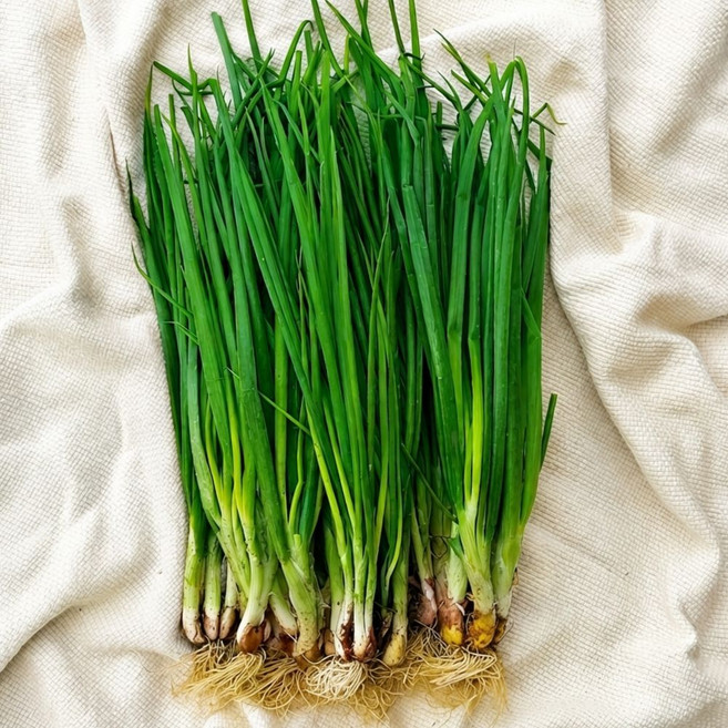 [당일수확 당일발송] 포천 산지직송 흙쪽파 1kg, 1개, 3kg
