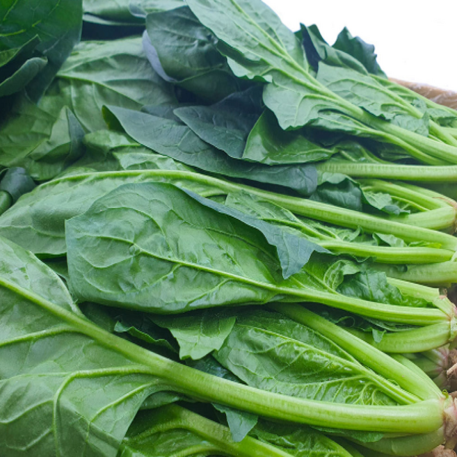 신선하고 아삭한 국내산 제철 시금치 300g, 2개