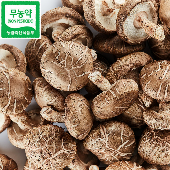 신선라이프 무농약 국내산 명품 표고버섯, 1박스, 5kg(상품)