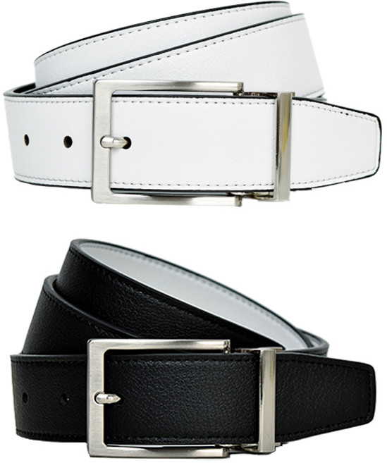 나이키 리버서블 남성 골프벨트 양면벨트 S11212, 101 화이트블랙 S, 1개