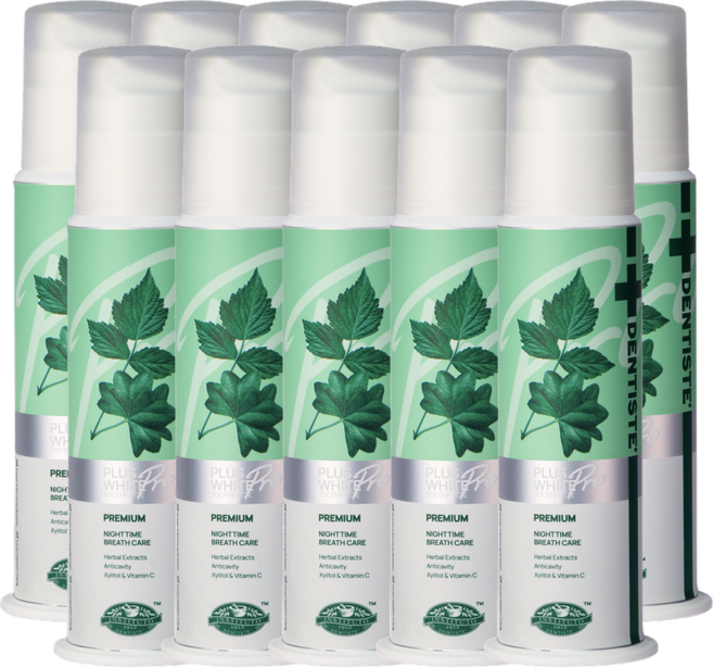 덴티스테 플러스화이트 프로 펌프형 치약, 170g, 11개