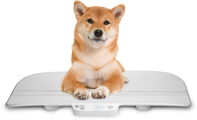 휴비딕 신생아 유아 몸무게 디지털 아기 체중계, 1개, 화이트, HUS-317B