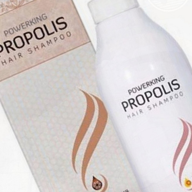 헤어케어프로폴리 파워킹 샴푸 비듬예방 일상불편해소 공간부족해결, 1개