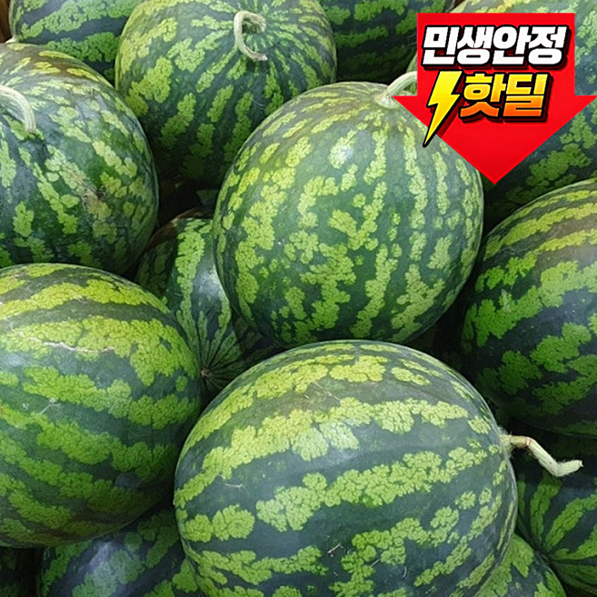 [하루50개한정특가] 고당도 하우스 수박 가정용, 1박스, 6kg