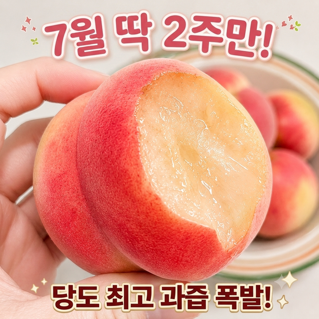 [한정수량] 고당도 아삭쫀득 대극천 반납작복숭아, 1세트, 1kg