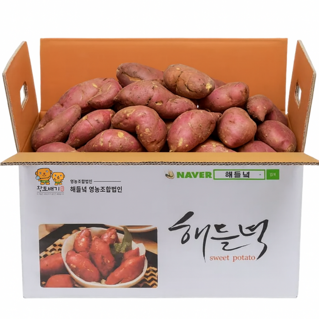 [25년 고구마] 못난이 해들녘 고창 무농약 세척 꿀 고구마 5kg 10kg (왕/특/상/중), 1개, 해들녘고구마 5kg (상 못난이)