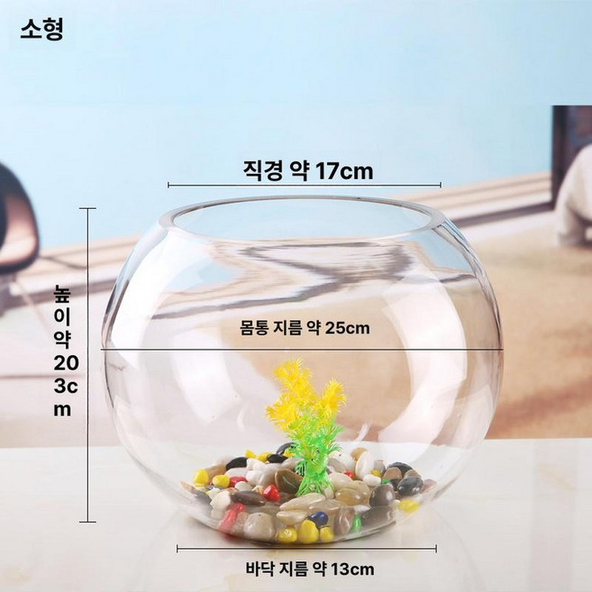유리 어항 둥근 원통 수조 수족관 구피 가정용, 1개, 25cm+컬러 스톤+수초+조개+바다 달팽이