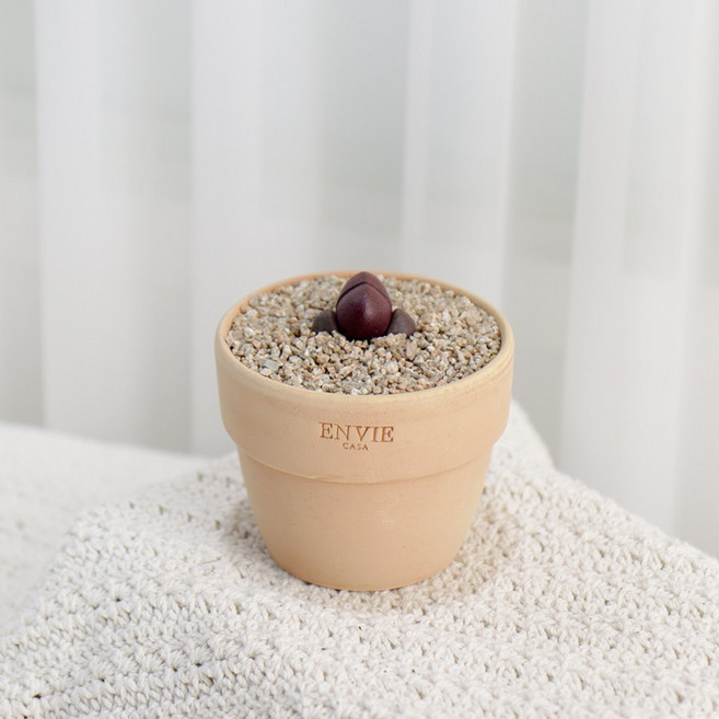 갑조네 다육이토분세트 예쁜 다육이식물 미니다육이 선인장, 30.자제옥, 앙비(피치/소)+받침(토기/미니), 1개