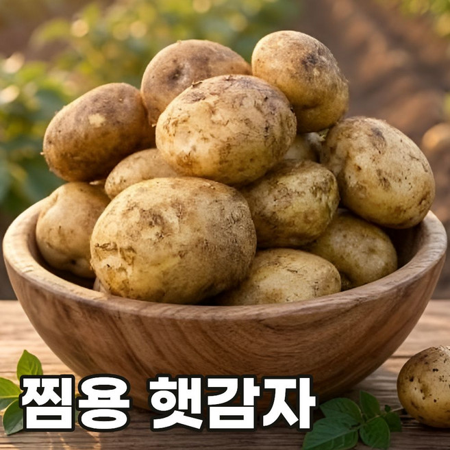 포슬포슬 쫀득쫀득 찜용 수미 햇감자, 1박스, 3kg(특)