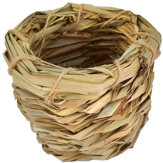 항아리 새둥지, 1개