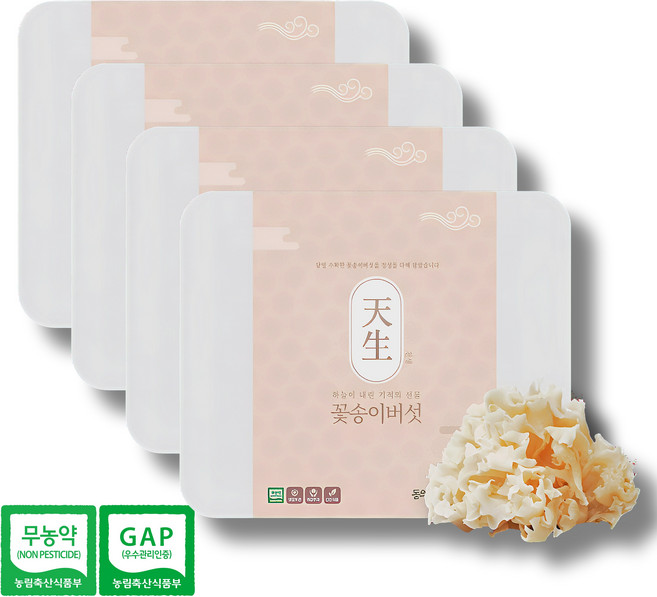 유기농 국내산 생 꽃송이버섯 최상급 항암 항노화 면역력증진 베타글루칸 GAP인증, 4박스, 500g