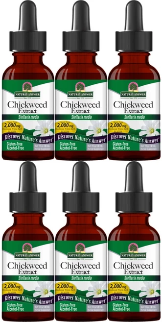 네이처스앤서 고흡수 별꽃 추출물 2000mg 액상 액체, 6개, 30ml - 쿠팡