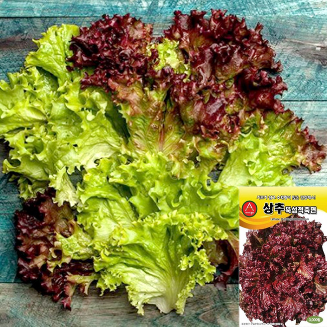 세경팜 잎채소 씨앗 텃밭 씨앗 상추키우기, 씨앗 - 꽃상추, 1개