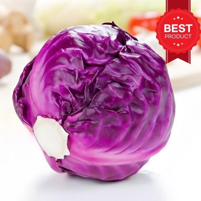 [가성비맛보장] 만족도1위 고당도 제주 콜라비, 5kg, 1개