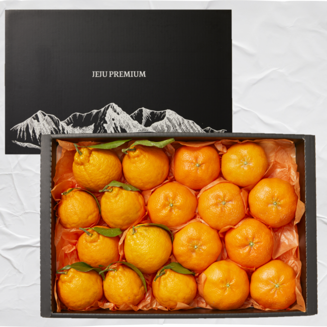 [15brix] 천혜향 만감류 선물세트 과일선물, 1박스, 4.5kg 대과(10-17과)