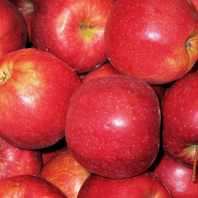 재구매율높은 아삭달콤 고당도 사과 꿀사과, 1개, 2kg (소과)