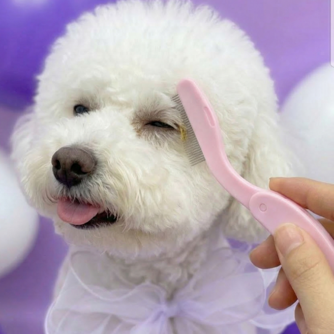 홈온리 강아지 눈꼽빗 브러쉬, 1개, 핑크