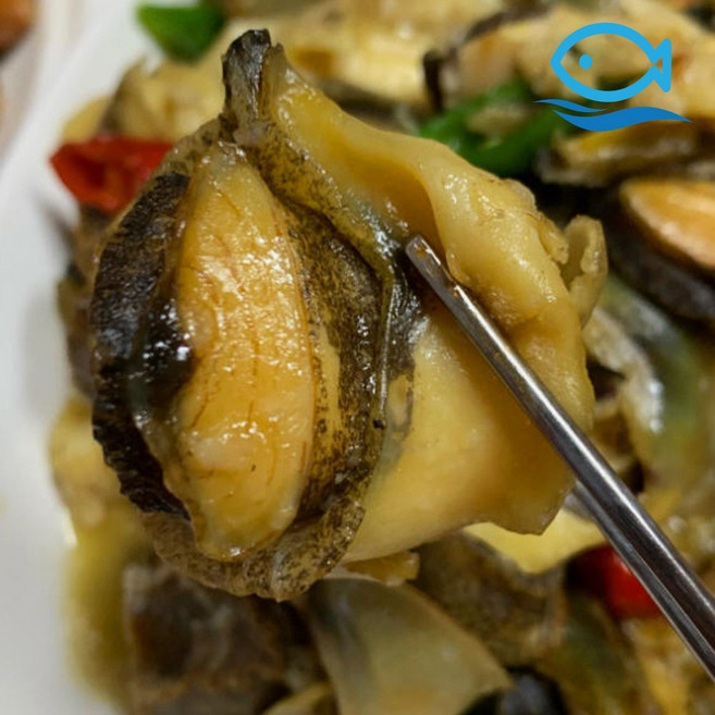 바다더해 소라살 500g M 자숙 참소라 냉동 손질 피뿔고동살, 1개