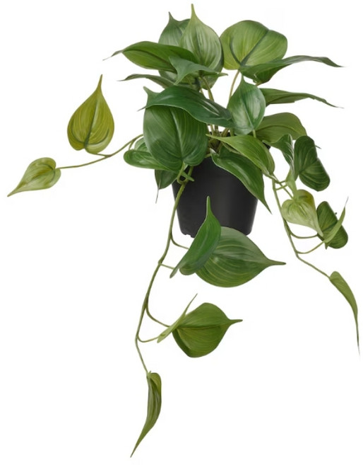 이케아 조화 인조식물 실내외겸용 걸이형 덩굴식물 페이카, 에피프렘눔(27cm)