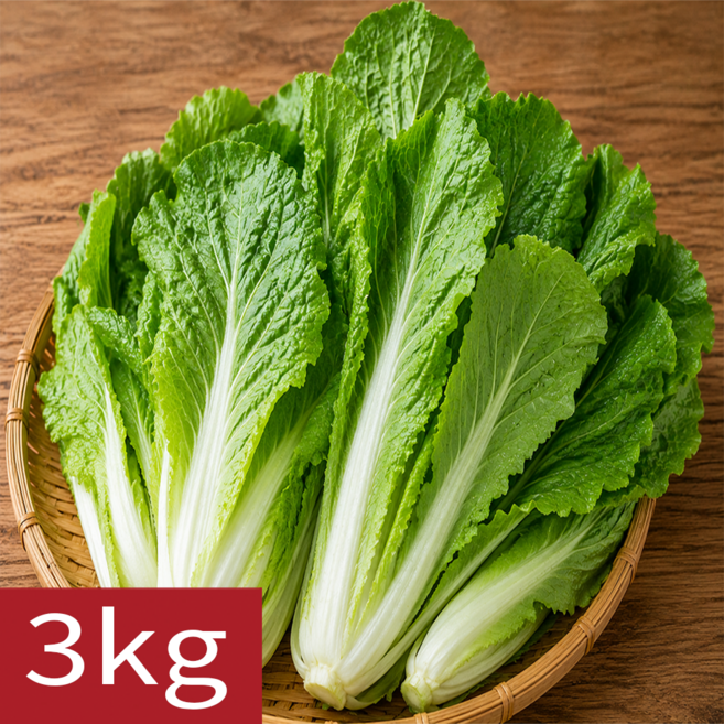 [말똥이네] 당일수확 국내산 얼갈이배추 얼갈이 특품, 1개, 3kg