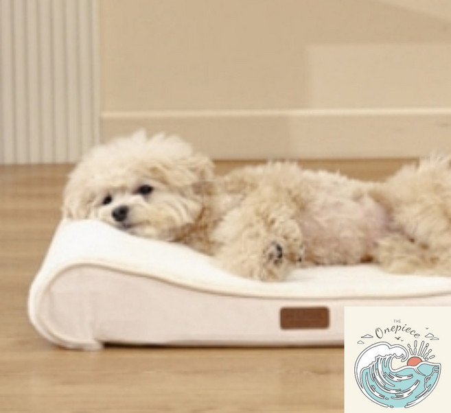 밀짚모자 상단 펫테일 강아지 방석 고양이 척추 쿠션 척추침대 강아지척추침대 강아지메모리폼침대, 모던 그레이-L