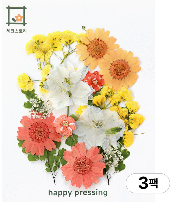체크스토리 압화 컬러가든시리즈 누름꽃 꽃송이 압화재료 공예, 오렌지믹스14(3팩), 오렌지