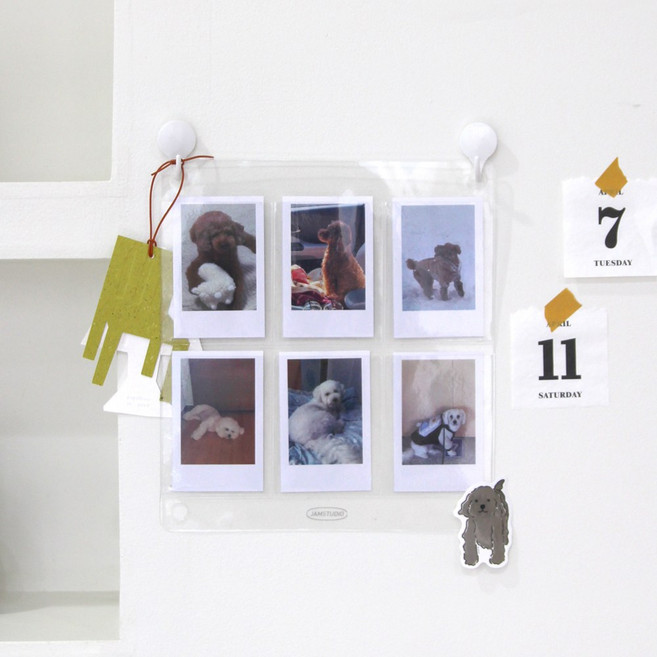 [잼스튜디오] 윈도우 포토카드 6포켓, 단일속성, 단품