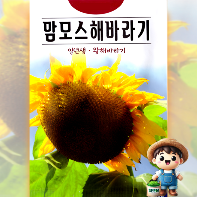 KS종묘 맘모스해바라기 10립 왕해바라기 일년생 꽃씨 씨앗 종자, 1개