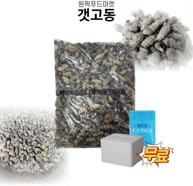 갯고동 다슬기 1kg 10개 바다고동