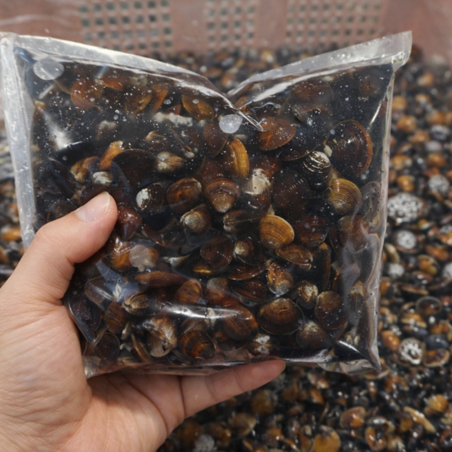 [당일채취] 재첩 국산 자연산 생재첩 1급수 산지직송 재첩국, 1개, 재첩 1kg