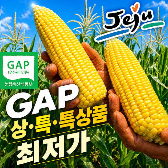 [품질보장프리미엄]_GAP인증 제주 초당옥수수 고당도 특품 국내산, 1개, 10개_특품 14~20cm