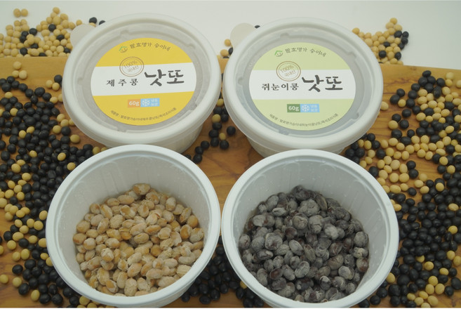 국산 낫또 제주콩+쥐눈이콩 반반세트 승이네 낫또, 60g, 20개, 반반세트 (제주콩+쥐눈이콩)
