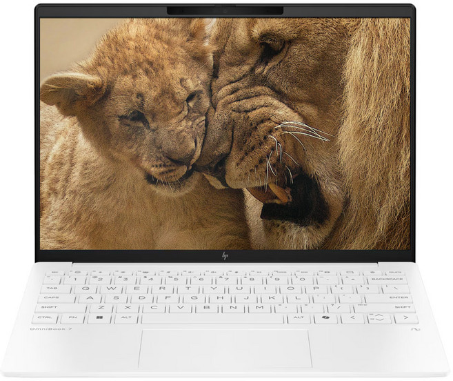 HP 2025 옴니북 7 에어로 13 라이젠AI 라이젠AI 300 시리즈, Ceramic White, 512GB, 32GB, WIN11 Home, 13-bg1067AU