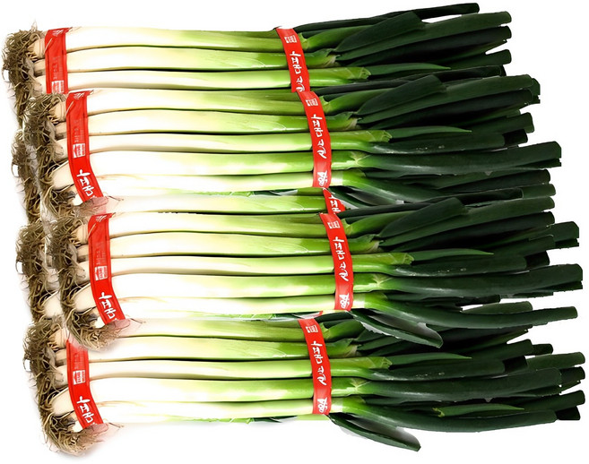 국내산 손질 대파 1단(2kg내외), 2kg내외, 1개