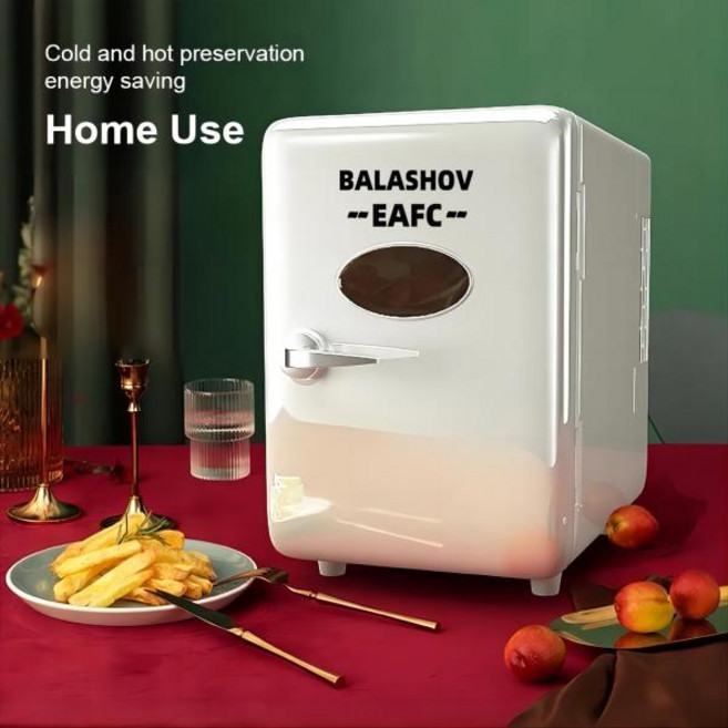 화장품 냉장고 휴대용 자동차 가정용 미니 다기능 마스크 음료 기숙사 쿨러 워머 뷰티 4L, 220V Home