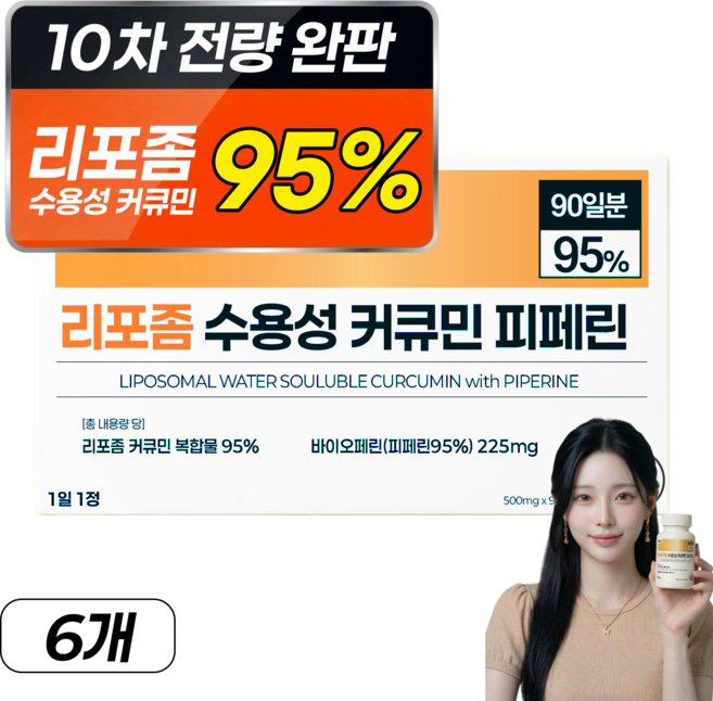 강황 수용성 리포좀 커큐민 피페린 100% 인도산 식약처 인증 haccp 바이오페린 비엔엘, 6개, 90정