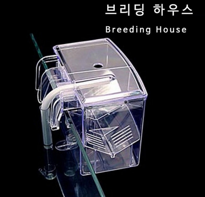 미스터 아쿠아 브리딩하우스 -M- 외부격리 부화통 격리통, 1개
