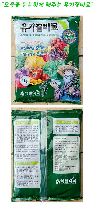 소울라인 아스파라거스 모종 아틀란틱 다년생, 유기질비료, 1개