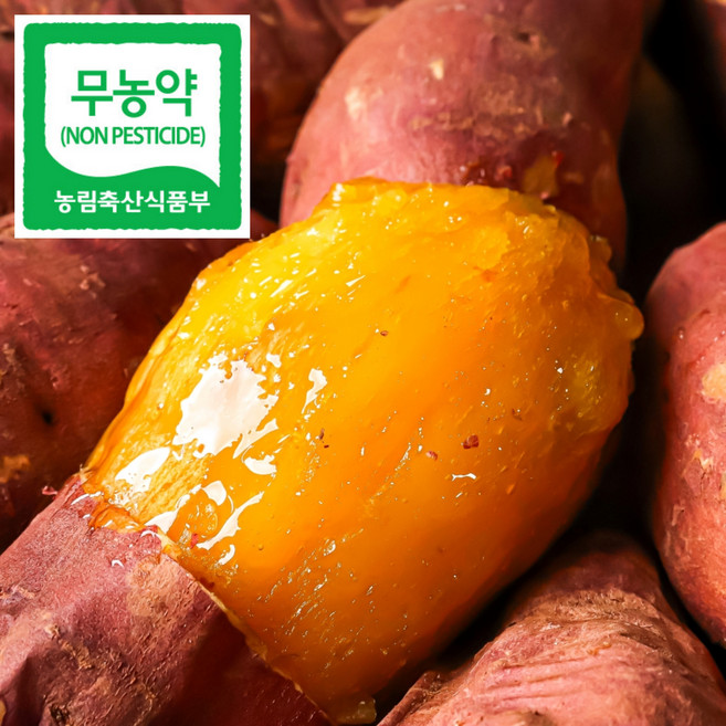 25년 해남 햇 호박고구마 호풍미 세척, 1박스, 대(300g 이상) 5kg