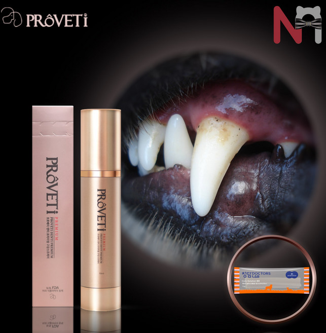 프로베티 덴티 프리미엄 강아지 구강스프레이 치석 입냄새 제거 고양이겸용 50ml, 청담닥터스랩 강아지 덴탈껌 1개 랜덤증정, 1개