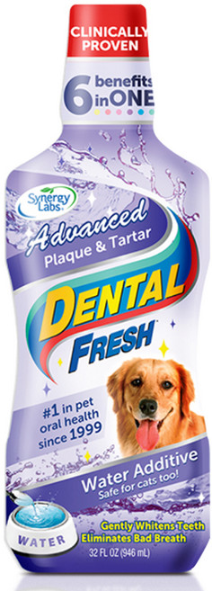 시너지랩 덴탈후레쉬 애견 구강청결제, 503ml, 1개, 503ml