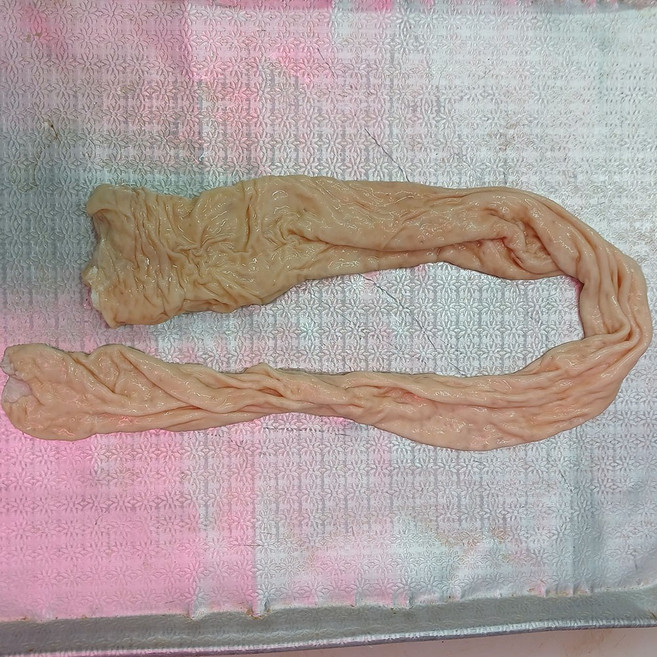 국내산 신선한 손질생돼지막창 1kg, 1개