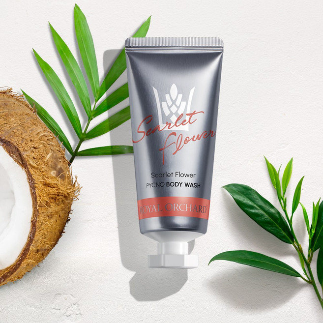 로얄오차드 차(TEA)로만든 바디워시 50ml (피크노제놀 함유), 프린세스자스민, 1개