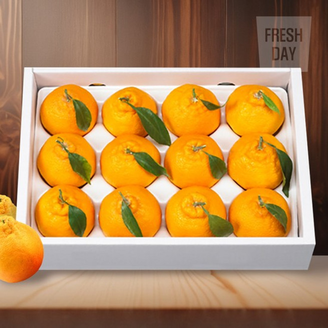 달콤새콤 제주 한라봉 선물세트 특1호 (3kg/11~13입)