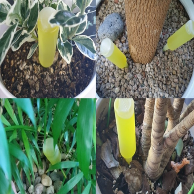 고급 화초 식물영양제35ml-10개 모든식물용 앰플형 난 관엽 분재, 35ml