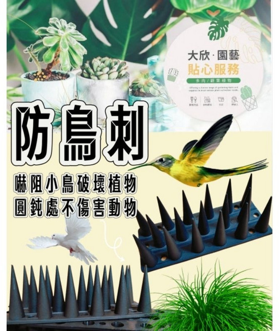 [大欣園藝] 防鳥刺 驅鳥器 趕鳥 趕貓器 驅鳥棒, 紅色